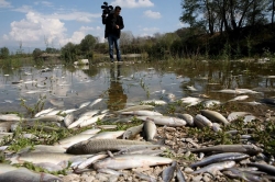 Топик The Problem of Environmental Protection - Проблема защиты окружающей среды