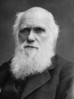 Топик Charles Darwin - Чарльз Дарвин